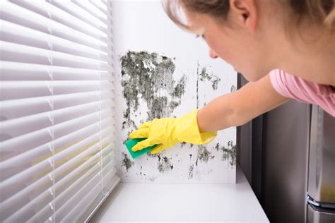 How to Get Rid of Mildew Once and for All