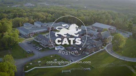 Cats Academy Boston Ranking