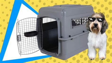 Best Plastic Dog Crate, Portable Dog Crate, Small & Large Dog Crates