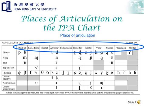 PPT - Place of Articulation PowerPoint Presentation - ID:4923201