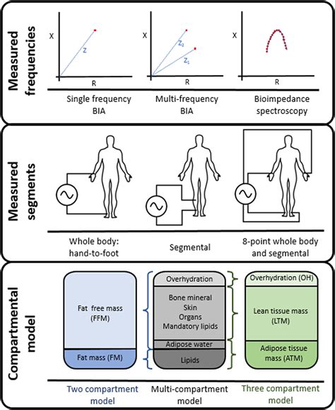 Bioimpedance analysis in patients with chronic kidney disease - Eyre ...