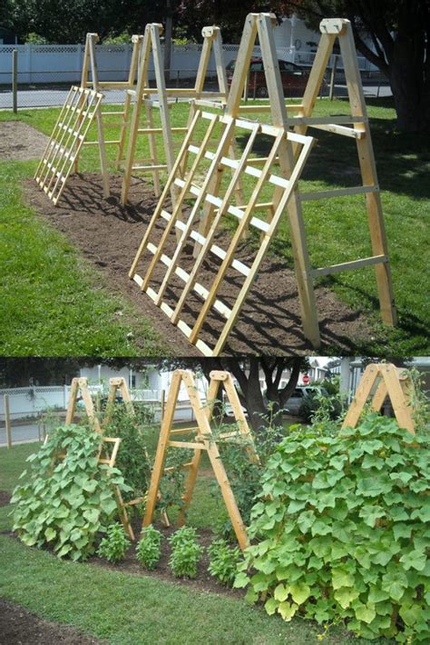 15 Easy DIY Cucumber Trellis Ideas - A Piece Of Rainbow