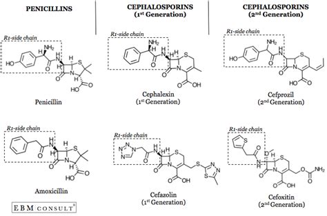 Is it safe to administer cefazolin in penicillin-allergic patients? – Depth of Anesthesia