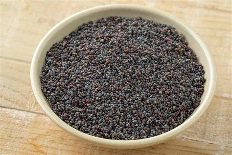 Poppy Seeds: Nutrition Facts, Benefits, and Downsides - Nutrition Advance