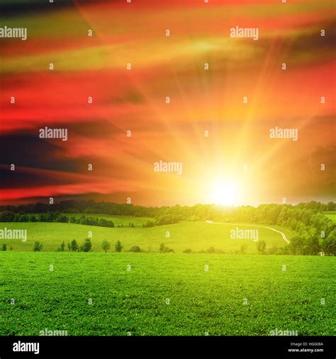 Beautiful sunset on green field Stock Photo - Alamy