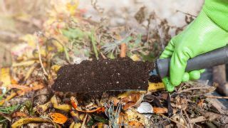 7 composting mistakes to avoid | Tom's Guide