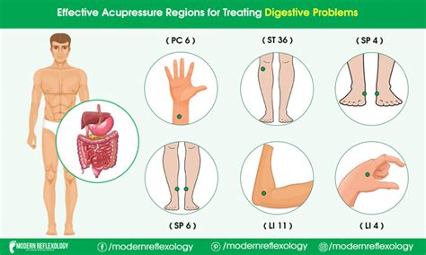 Best Acupressure Points to Treat Digestive Problems - Modern Reflexology