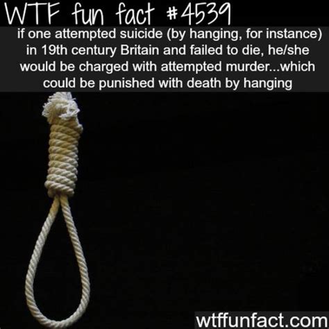 Weird Facts That Are Almost too Crazy to be True (25 pics) - Izismile.com