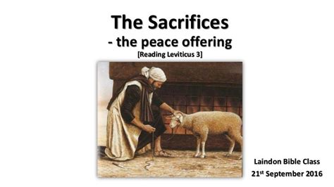 The sacrifices peace offering