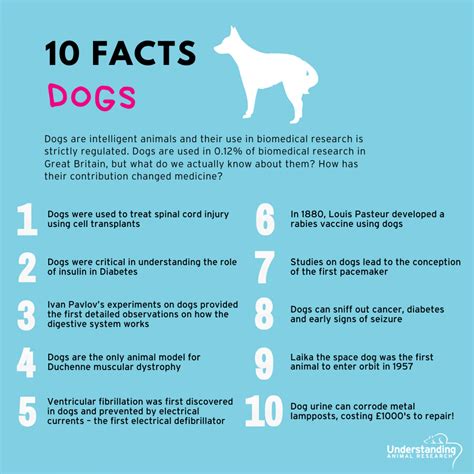 10 Mind Blowing Pet Facts About Dogs Furry Facts In 2 - vrogue.co