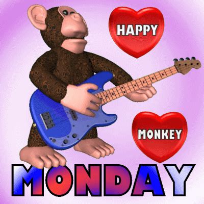 Monkey Happy GIFs - Get the best GIF on GIPHY