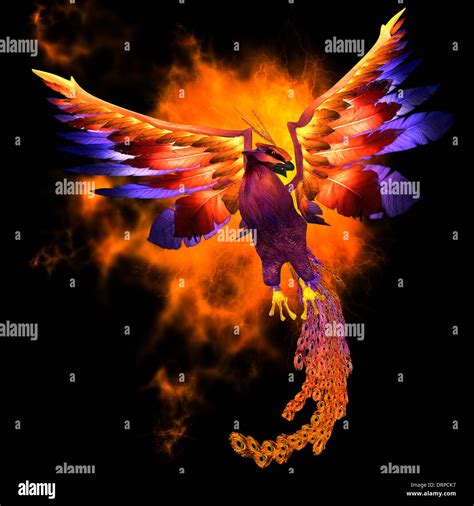 Mythical Phoenix Bird Stock Photos & Mythical Phoenix Bird Stock Images ...