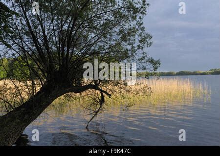 drawsko lake (jezioro drawsko), pomeranian lakeland (pojezierze ...