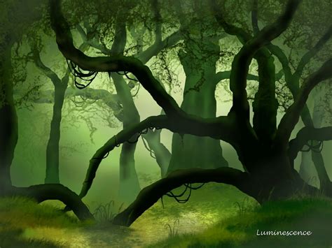 Dense Forest Wallpapers - Wallpaper Cave