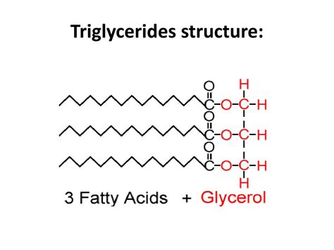 PPT - Triglycerides PowerPoint Presentation, free download - ID:4505039