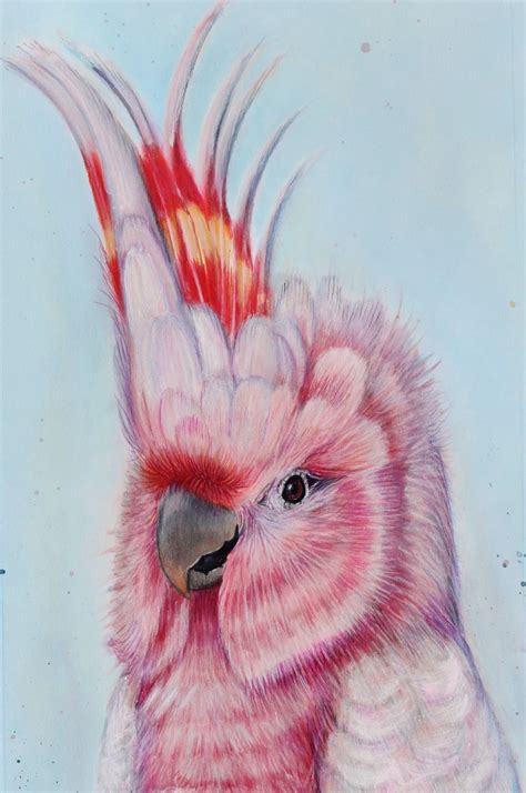 Joanne Barby, Pan Pastels | Parrots art, Bird art, Animal drawings