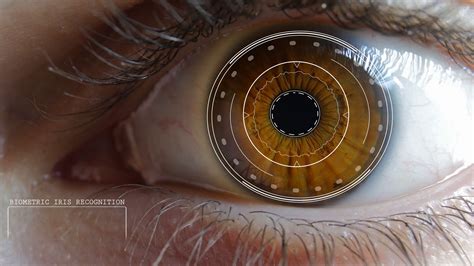 Eye Scanner Iris Access Granted Biometric Recognition Brown Caucasian ...