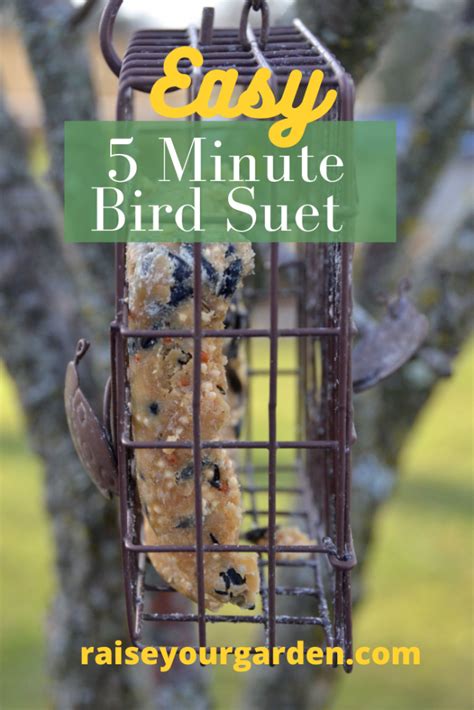 DIY Simple suet recipe for the birds - Raise Your Garden