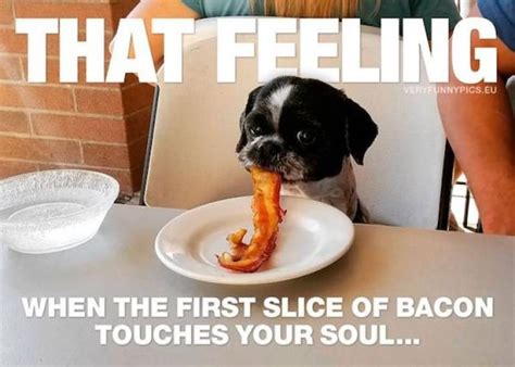 These Are Some Tasty Breakfast Memes! (34 PICS) - Izismile.com