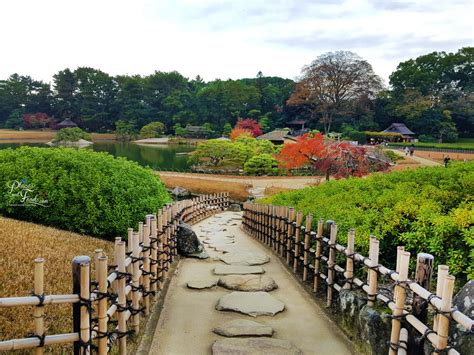 Korakuen Garden Okayama in Autumn Season