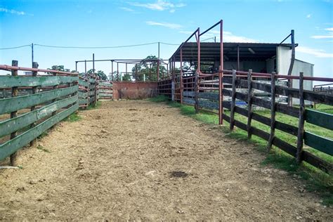 Circle M Ranch- SOLD | Cross Timbers Land