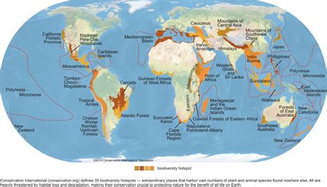 Biodiversity of India, Biodiversity Hotspots of India - PMF IAS