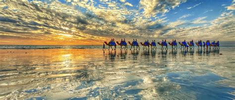 Broome Camel Safaris | Sunset Camel Rides Cable Beach