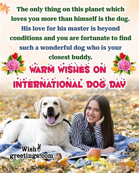 International dog day Quotes And Messages - Wish Greetings