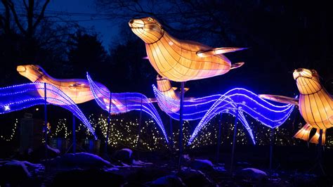 Holidays 2020: Bronx Zoo Holiday Lights show Nov. 20-Jan. 10, 2021