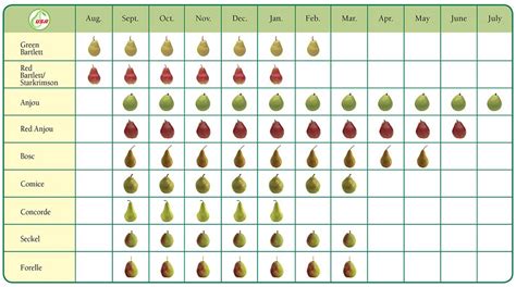 PBNW Retailer Training: Course 1 | Pear varieties, Vegetable garden design, Food charts