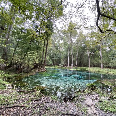 Gilchrist Blue Springs State Park - Florida Lives