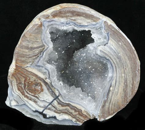 4" Crystal Filled Dugway Geode (Polished Half) For Sale (#33167) - FossilEra.com