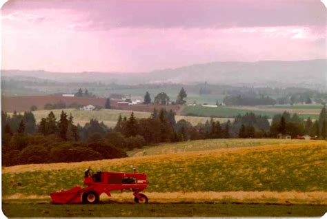 Hesston 660 swather 1975 - Ioka Marketing