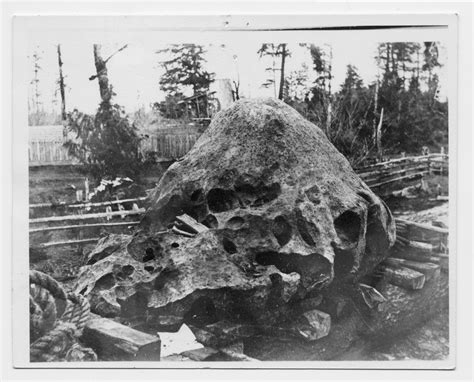 Photo - Willamette Meteorite