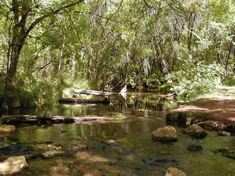 Sycamore Canyon Wilderness Area – Birding in the Verde Valley