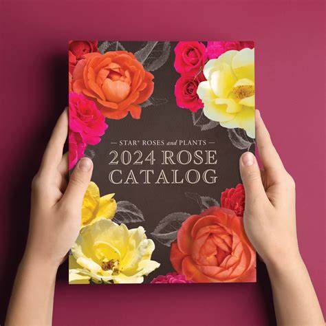 Star Roses and Plants releases rose catalog - Lawn & Garden Retailer