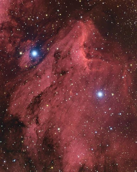 The Pelican Nebula - Astrodoc: Astrophotography by Ron Brecher