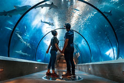 The Oregon Coast Aquarium is something special : r/oregon