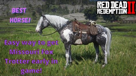 Easy way to get Missouri Fox Trotter in Chapter 2 - RDR2 in 2021 ...