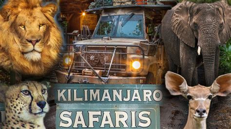 Animal Kingdom Safari Ride