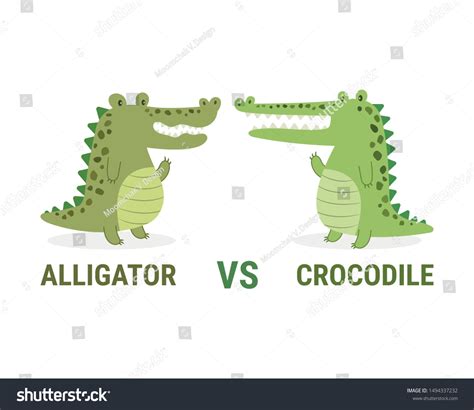 Alligator Crocodile Vector Illustration Cartoon Isolated: vector de stock (libre de regalías ...