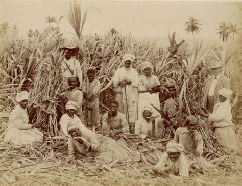 The History of the Crop Over Festival | Bougainvillea Barbados Blog