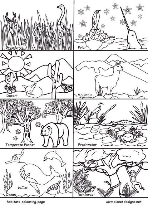 Habitats Colouring Page | Animal habitats, Animal habitats preschool, Habitat activities