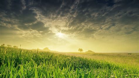 Sky and Grass Wallpapers - Top Free Sky and Grass Backgrounds ...