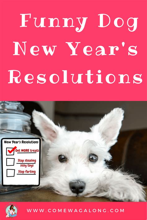 Funny Dog New Year's Resolutions - Come Wag Along