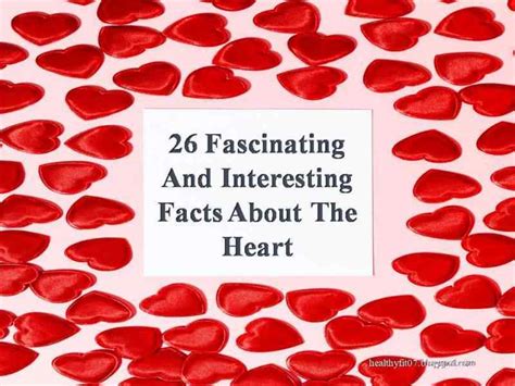 26 Fascinating And Interesting Facts About The Heart