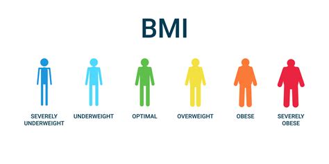 Bmi categories chart, body mass index and scale mass people. Severely underweight, underweight ...