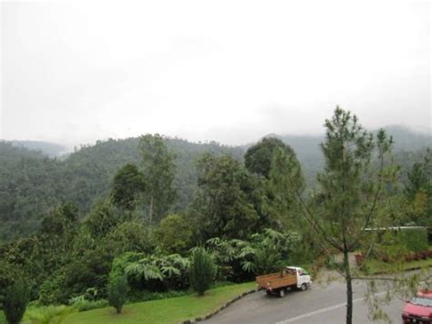 Bukit Fraser Tourism: Best of Bukit Fraser, Malaysia - TripAdvisor