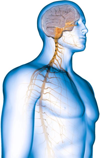 KESIMPTA® (ofatumumab) Ask The Expert