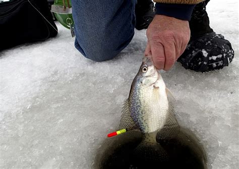 Ice Fishing Crappie at Night - OutdoorsNiagara